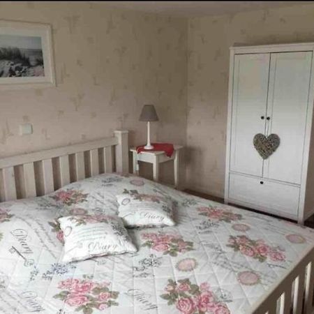 זאסניץ Ferienwohnung Naehe Altstadt מראה חיצוני תמונה